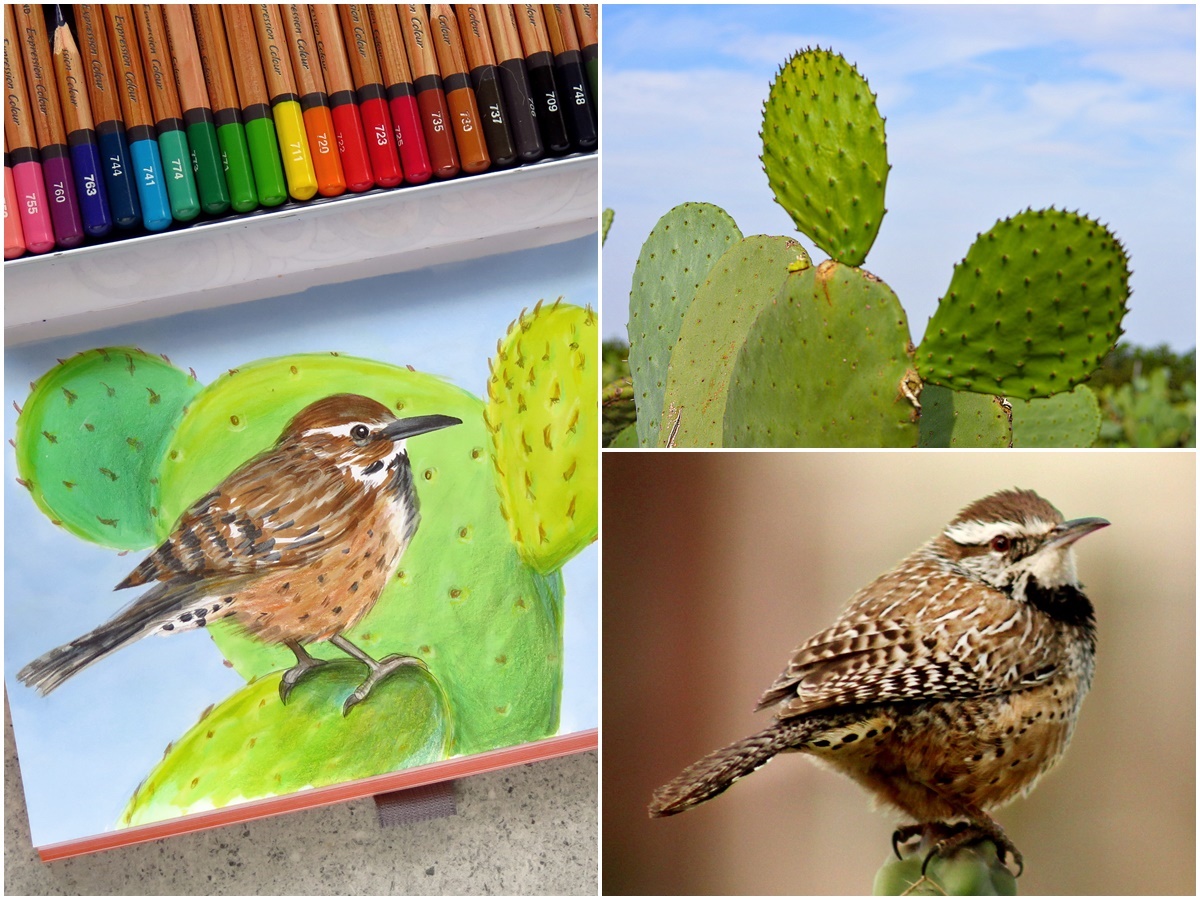 jak rysować kaktus ptak 