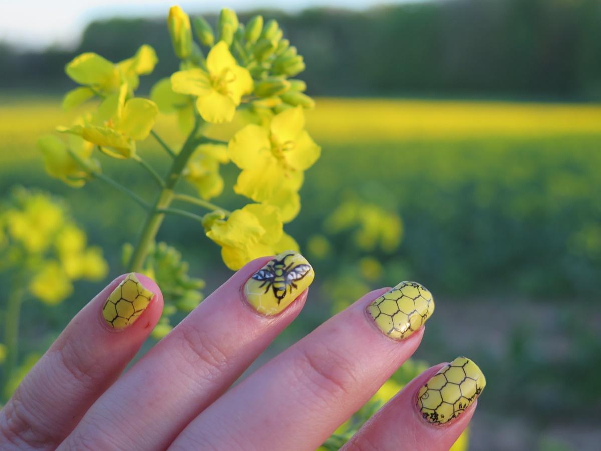 żółte paznokcie lato wakacje majówka urlop zdobienie stylizacja kwiaty pszczoła plaster miodu rzepak pole natura 