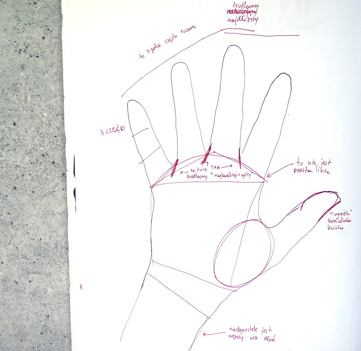 Schemat jak narysować dłoń szkic